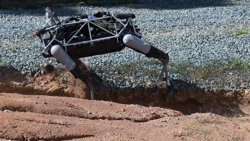 Illustration for article titled The Marines Are Sending This Robotic Dog Into Simulated Combat